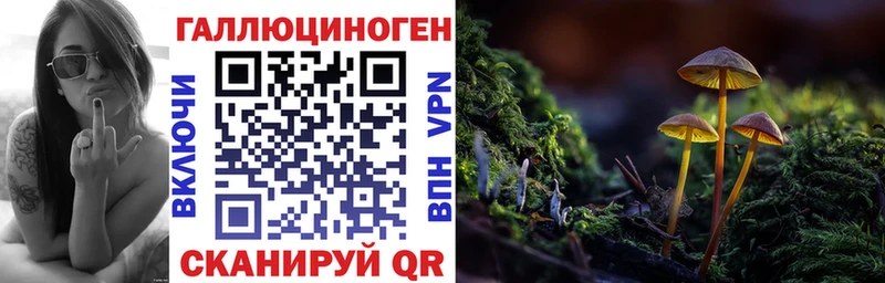 хочу   Нягань  Псилоцибиновые грибы Cubensis 