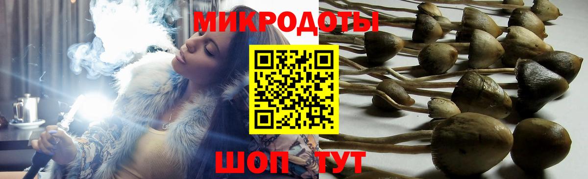 Нягань  что такое   Галлюциногенные грибы Psilocybine cubensis  Вход с VPN  Псилоцибиновые грибы Cubensis 